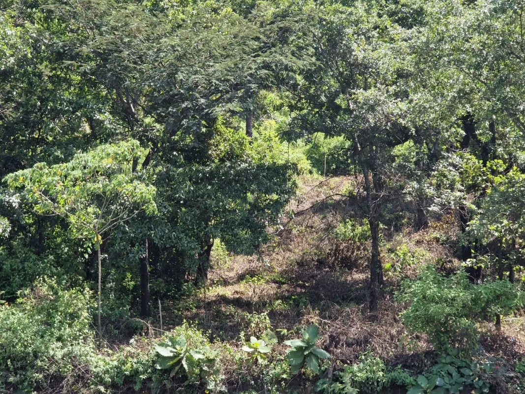 Terreno en venta en la Carretera Interamericana, km 46.3, Quintas del Tejar