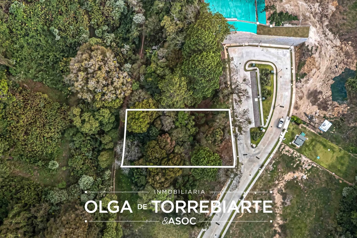 Terreno en Serrá, San Miguel Buena Vista