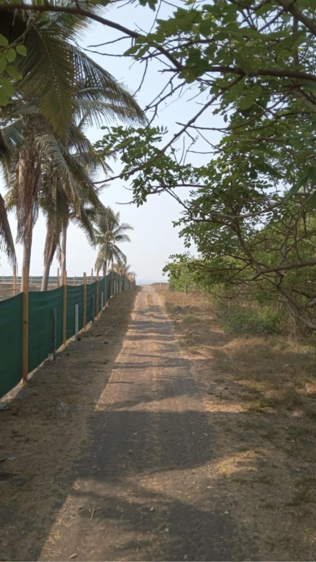 VENTA TERRENOS EN MONTERRICO