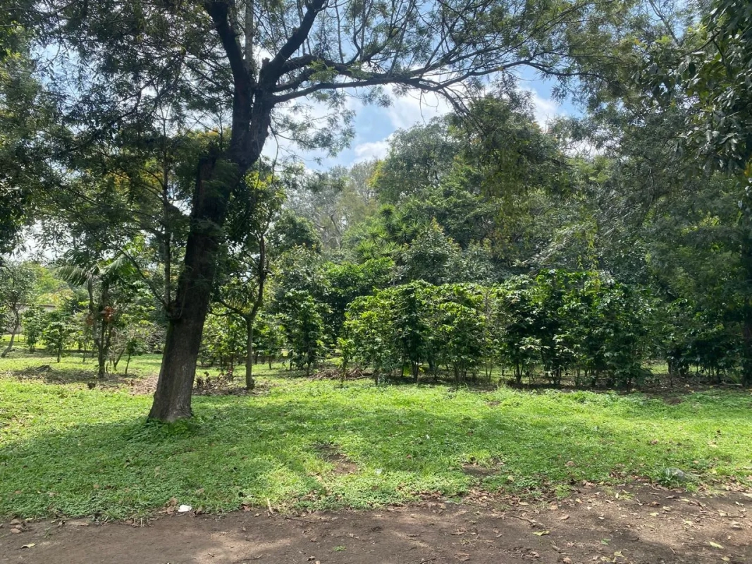 PRECIOSA PROPIEDAD DE ESQUINA EN ALOTENANGO FRENTE A LA RN14