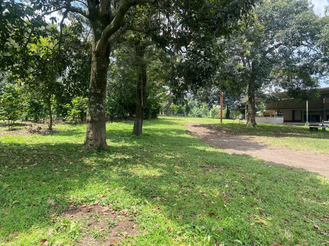 PRECIOSA PROPIEDAD DE ESQUINA EN ALOTENANGO FRENTE A LA RN14