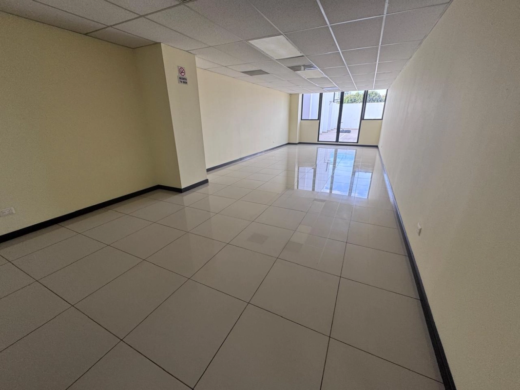 EDIFICIO EN RENTA, ZONA 10