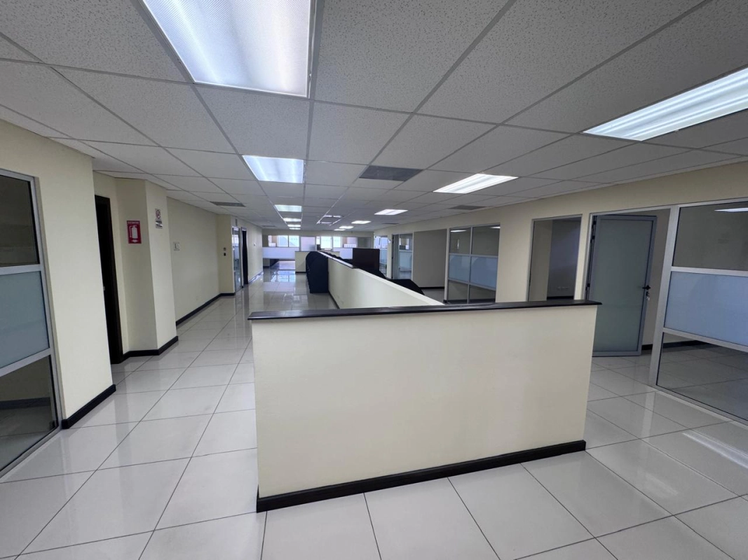 EDIFICIO EN RENTA, ZONA 10