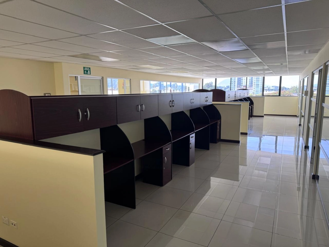 EDIFICIO EN RENTA, ZONA 10